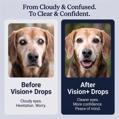 Timmy™ Vision+ Drops