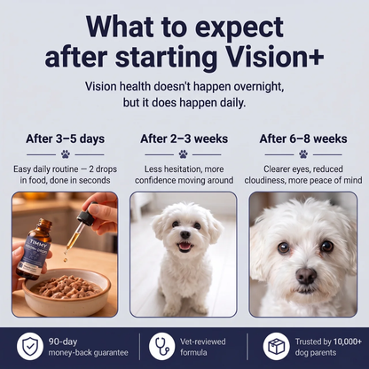 Timmy™ Vision+ Drops